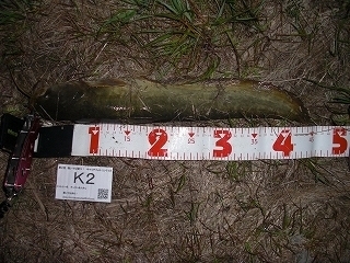 s-2017年04月16日 21時25分 ナマズ 44cm.jpg