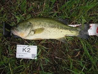 s-2017年05月26日 15時15分 ブラックバス 35cm.jpg