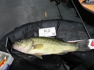 s-2017年09月05日 15時05分 ブラックバス 38cm-2.jpg