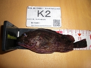 s-2017年12月07日 20時00分 カサゴ 17cm.jpg
