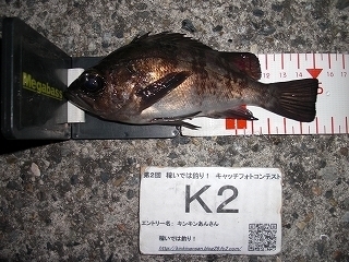 s-2017年12月20日 18時35分 メバル 15cm.jpg