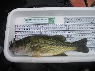 s-2018年07月26日 15時55分 ブラックバス 27cm-2.jpg
